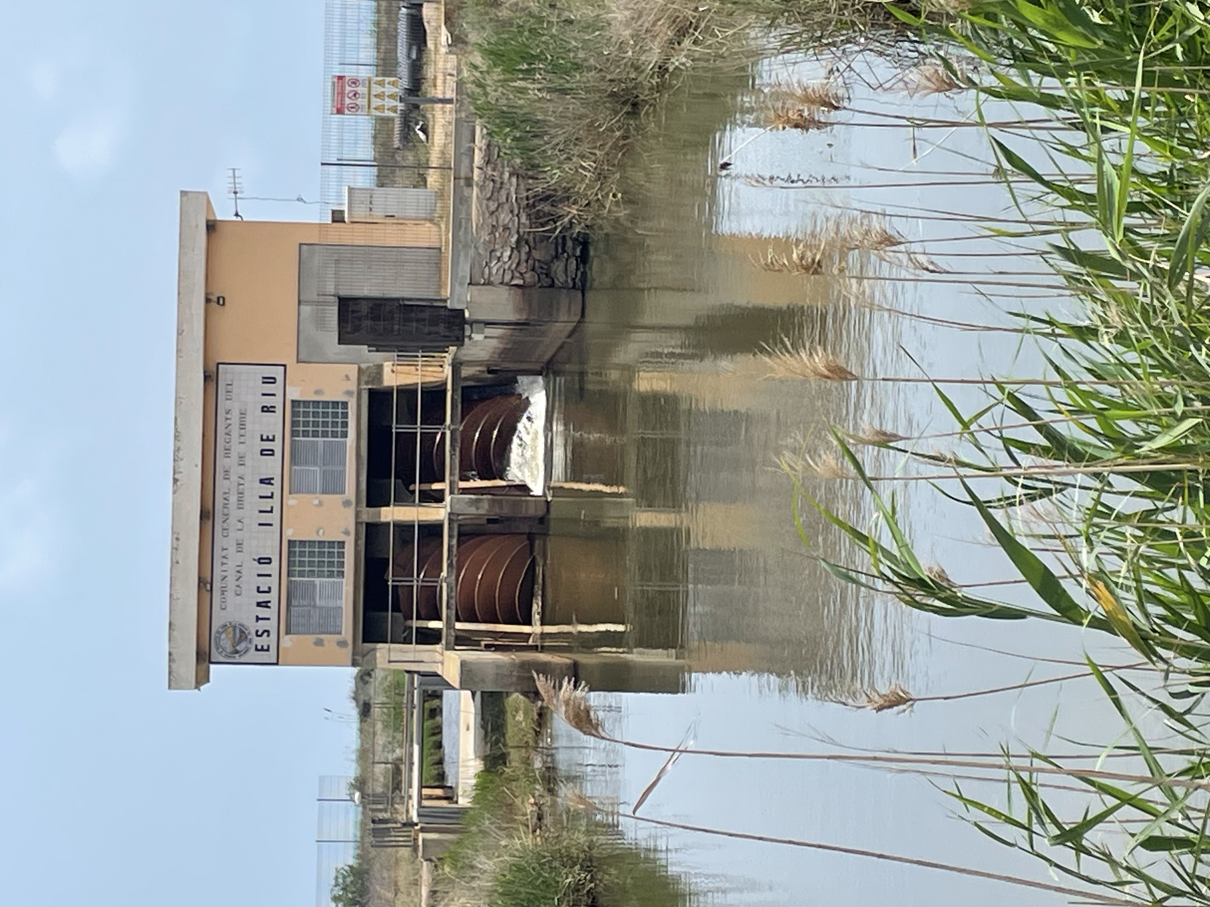 SORTIDA AL DELTA DE L'EBRE